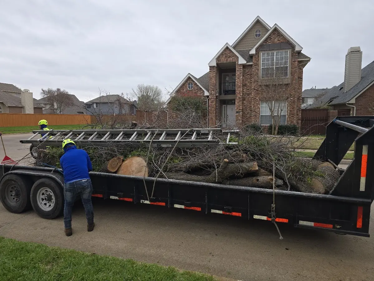 Expert Lot Clearing with proper safety equipment in Maricopa